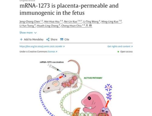 I peggiori timori sono confermati: i cosiddetti “vaccini” a base di mRNA contro il Covid-19 raggiungono il feto entro un’ora dall’iniezione ed espongono il nascituro alla produzione incontrollata della proteina spike che è una tossina – la “campagna di vaccinazione” contro il Covid-19 deve essere immediatamente sospesa, soprattutto per le donne incinte!